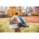 Souffleur a feuilles BR800C-E