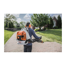 Souffleur a feuilles BR800C-E