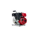 Pompe à eau 1.5'' Arrossage avec pression WH15XTC