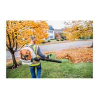 Souffleur a feuilles BR800X