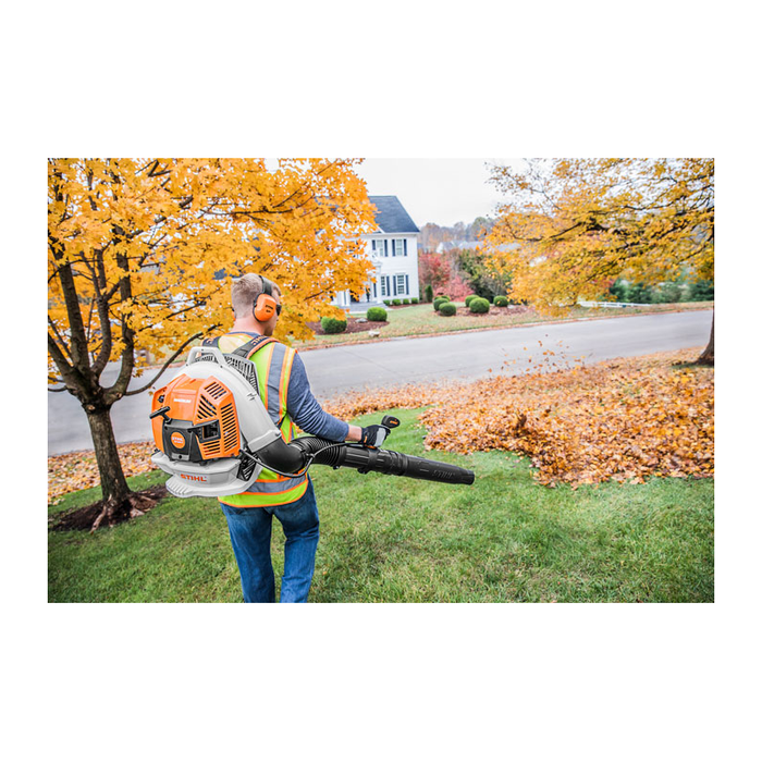Souffleur a feuilles BR800X