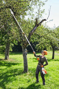 Scie télescopique à batterie STIHL HTA135