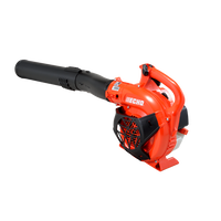 Souffleur à Feuilles ECHO PB-2520